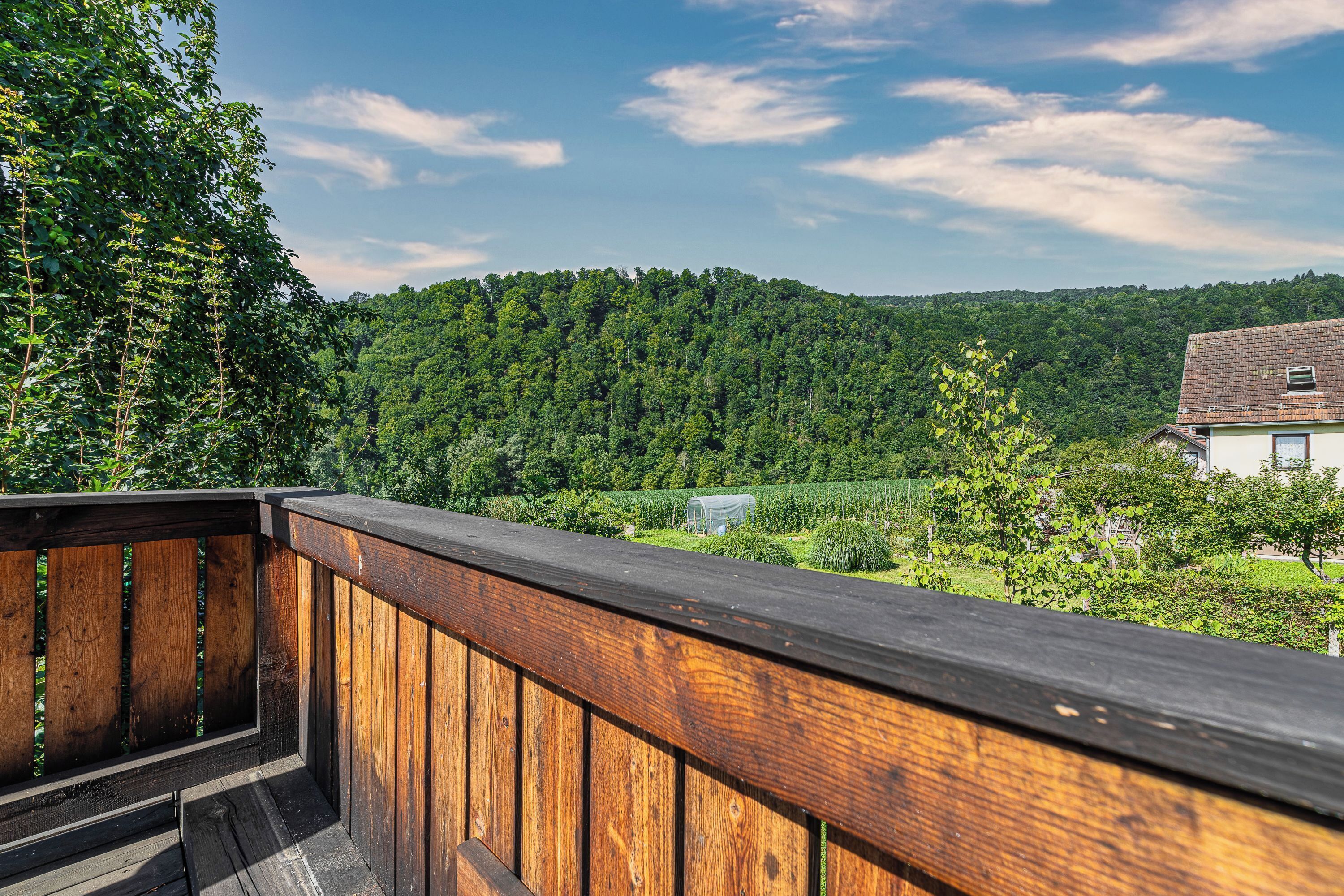 Family Apartment, Multiple Bedrooms, Mountainside (Vineyard Suite Kolpa Zupančič A) | Mountain view