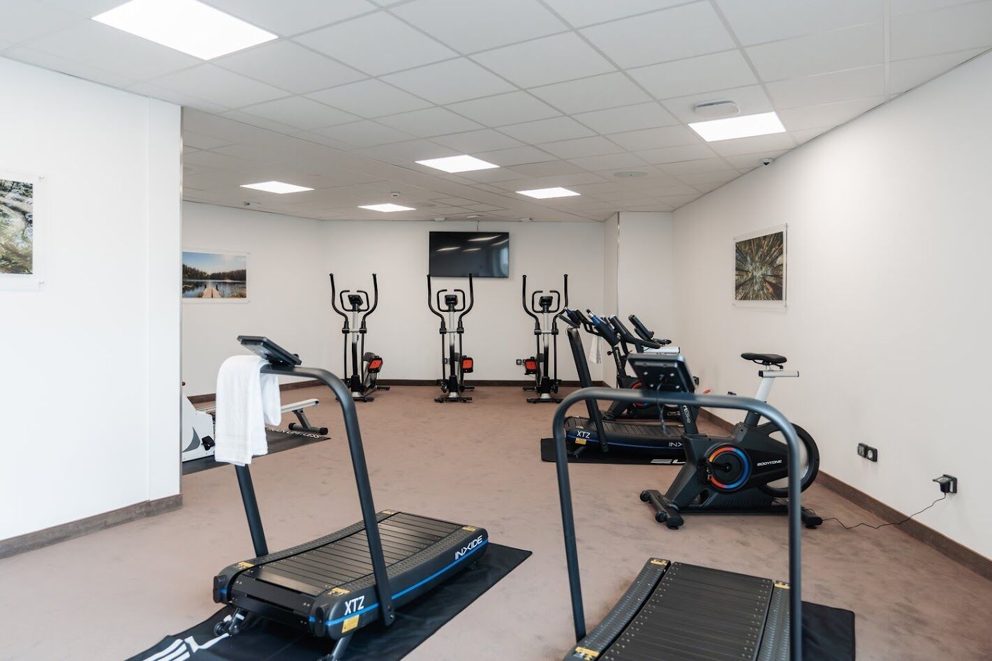 A gym with treadmills, stationary bikes, and elliptical machines.