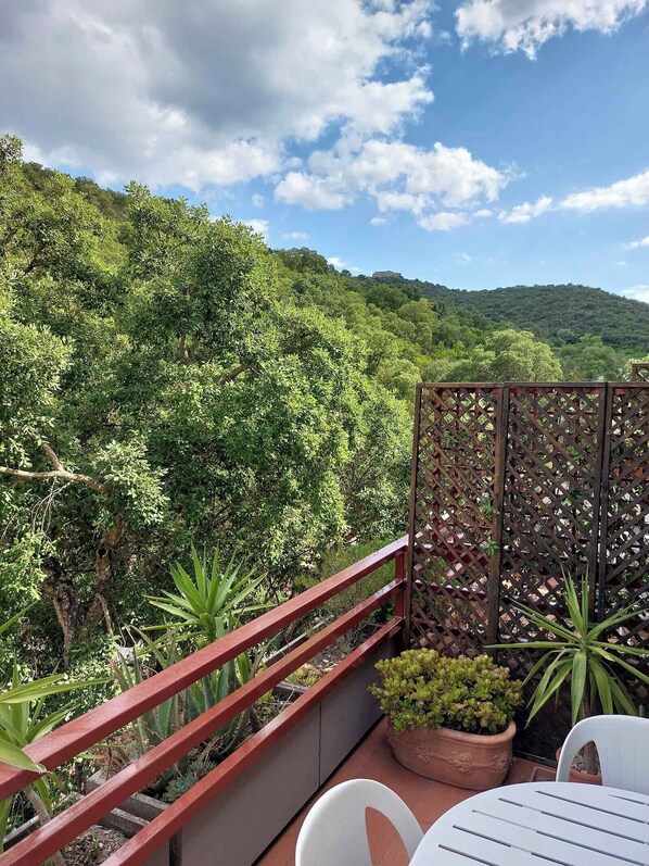 Property grounds - Tuscany - Porto Ercole (Porto Ercole)