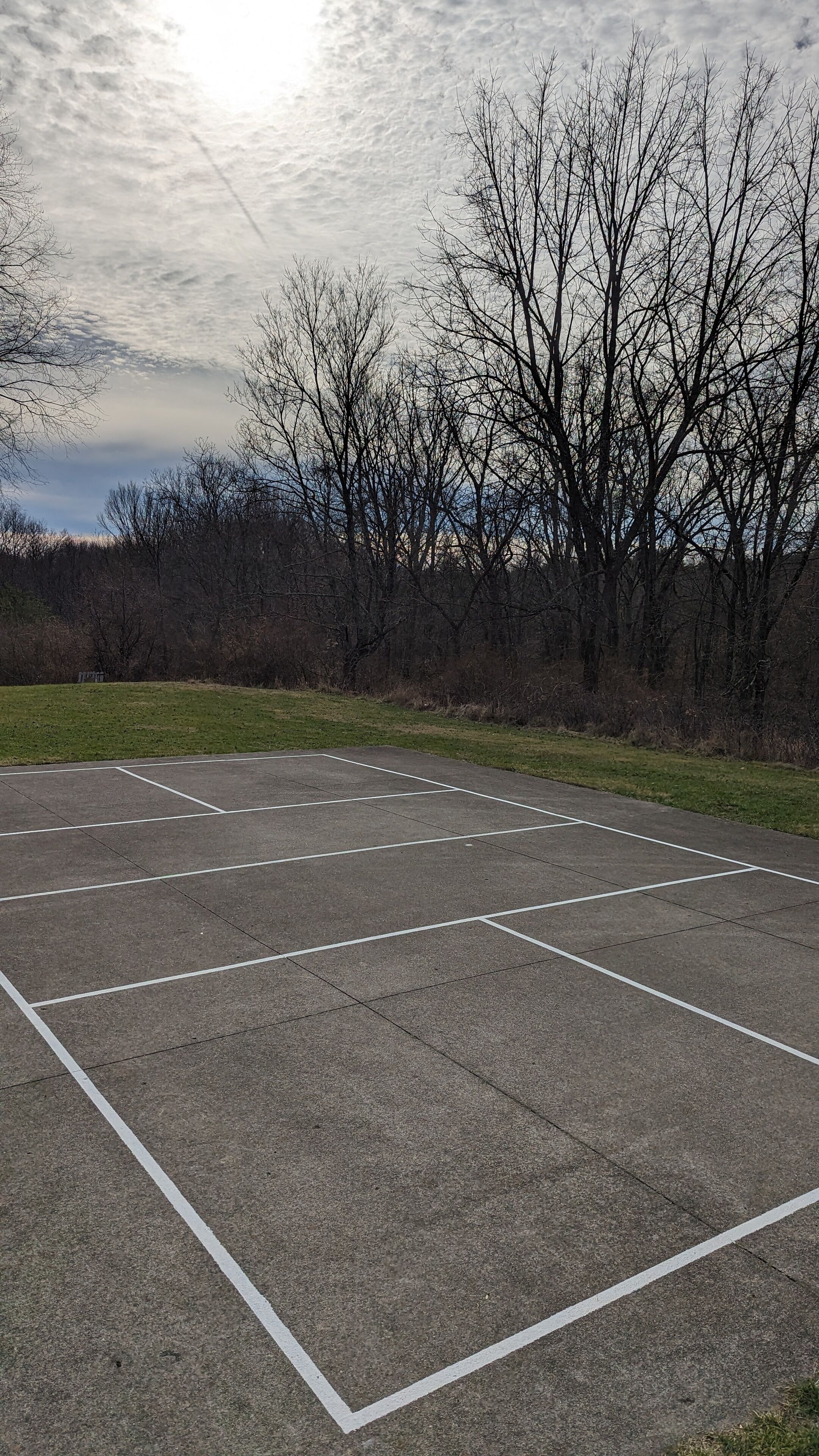 An outdoor basketball court with white boundary lines, surrounded by trees and a grassy area.