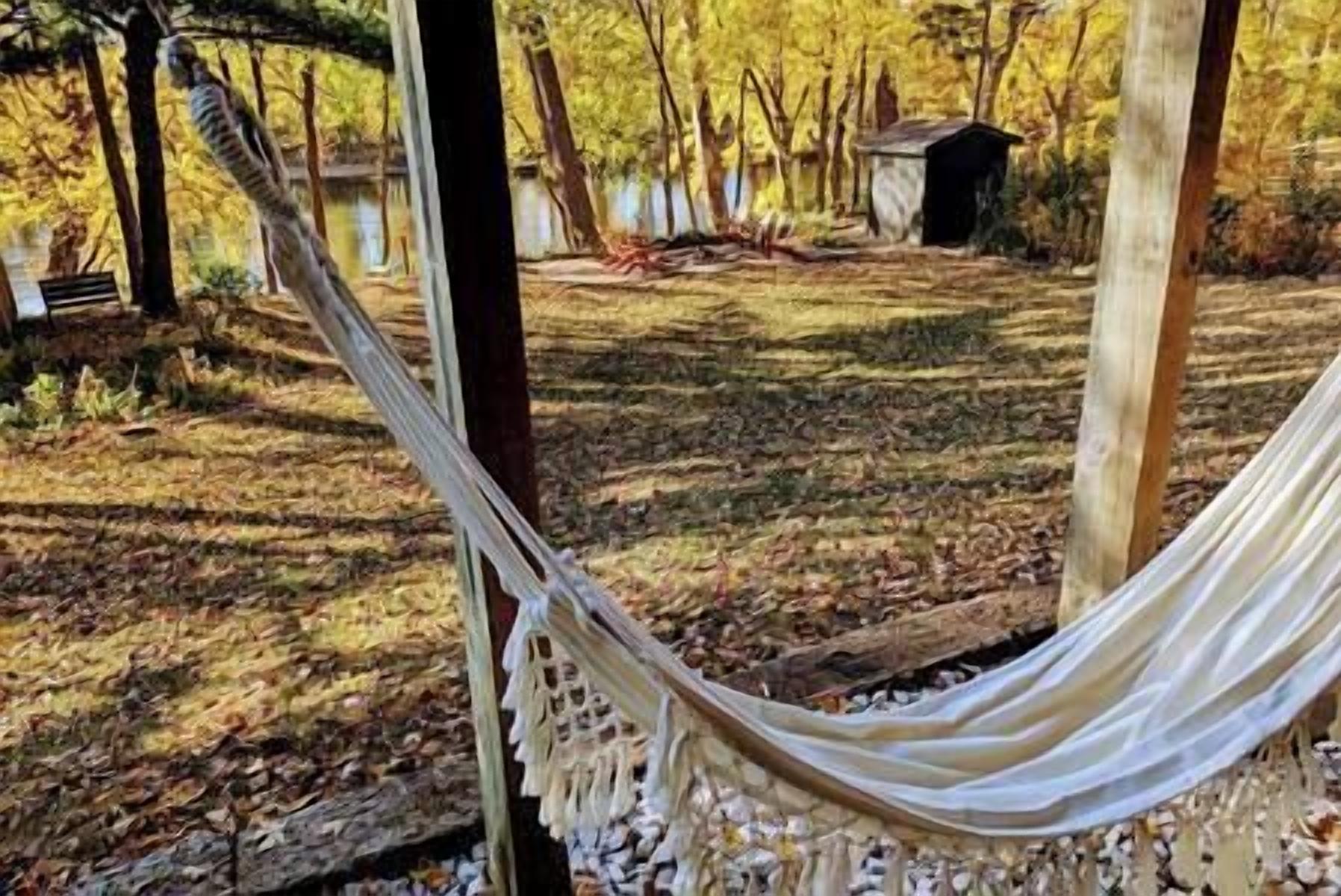 A hammock in a wooded area with a small shed in the background.