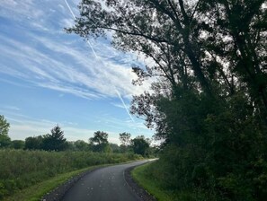 Property grounds - Cozy Lakeside Cottage for Families and Fun Seekers. Game room - Large Soaker Tub (Council Bluffs)