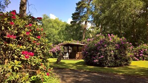 A gazebo with a wooden roof and glass walls, surrounded by lush greenery and flowering bushes. - Birchcroft Hideaway (Ferndown)