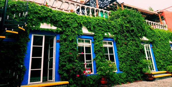 A building with blue doors and windows, covered in green ivy.