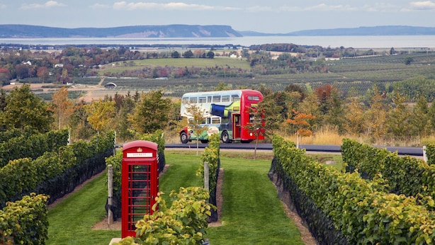 Ein Doppeldeckerbus in einem Weinberg mit einer roten Telefonzelle.