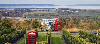 4 Wolfville's DT Core | Two Queen Bds+ Sofa Bed