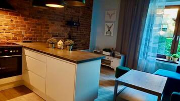 Fridge, stovetop, dishwasher, electric kettle