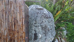 A bamboo fence, a large rock, and a potted plant. - Magens Bay 3 minutes drive to Rustic Cabin 
 (St Thomas)