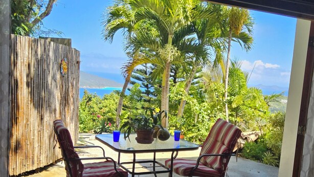 An outdoor patio with a glass table and chairs, surrounded by lush greenery and a view of the ocean. - Magens Bay 3 minutes drive to Rustic Cabin 
 (St Thomas)