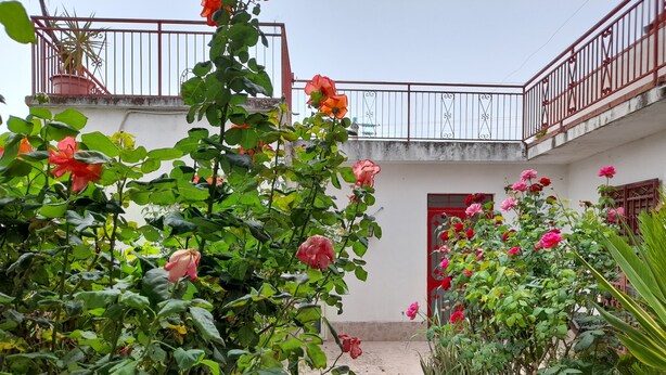 Unclassified image, 1 of 12, button - B&B Rosa di Calabria (Bovalino)