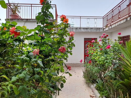 B&B Rosa di Calabria