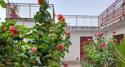 B&B Rosa di Calabria