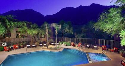 Sonoran Desert Sanctuary Oasis