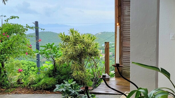 A view of a lush garden with a variety of plants and a wooden deck leading to a building with a closed shutter. - 3 Minutes Drive to Famous Magens Bay Beach (St Thomas)