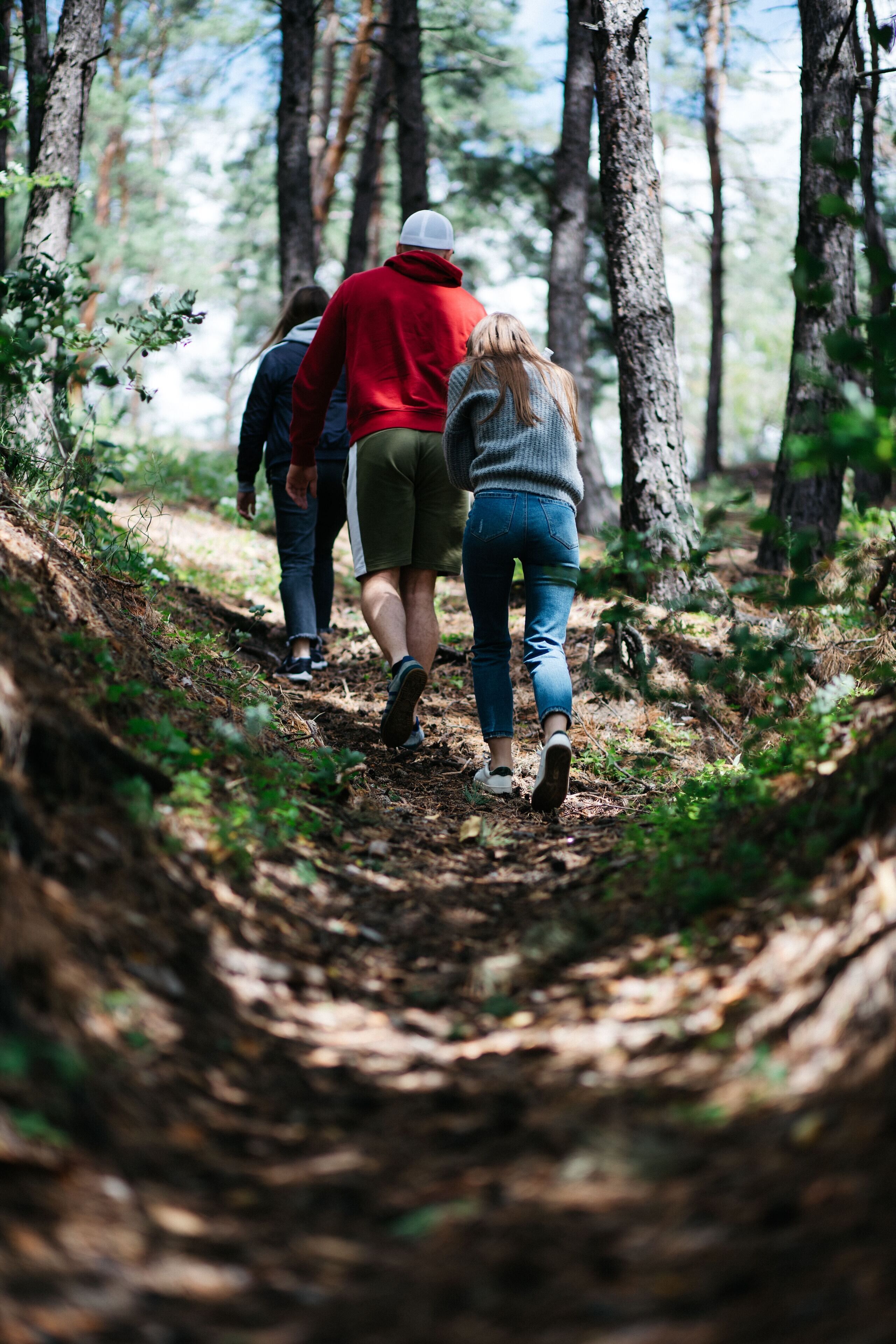 A forest path with three people walking away from the camera.