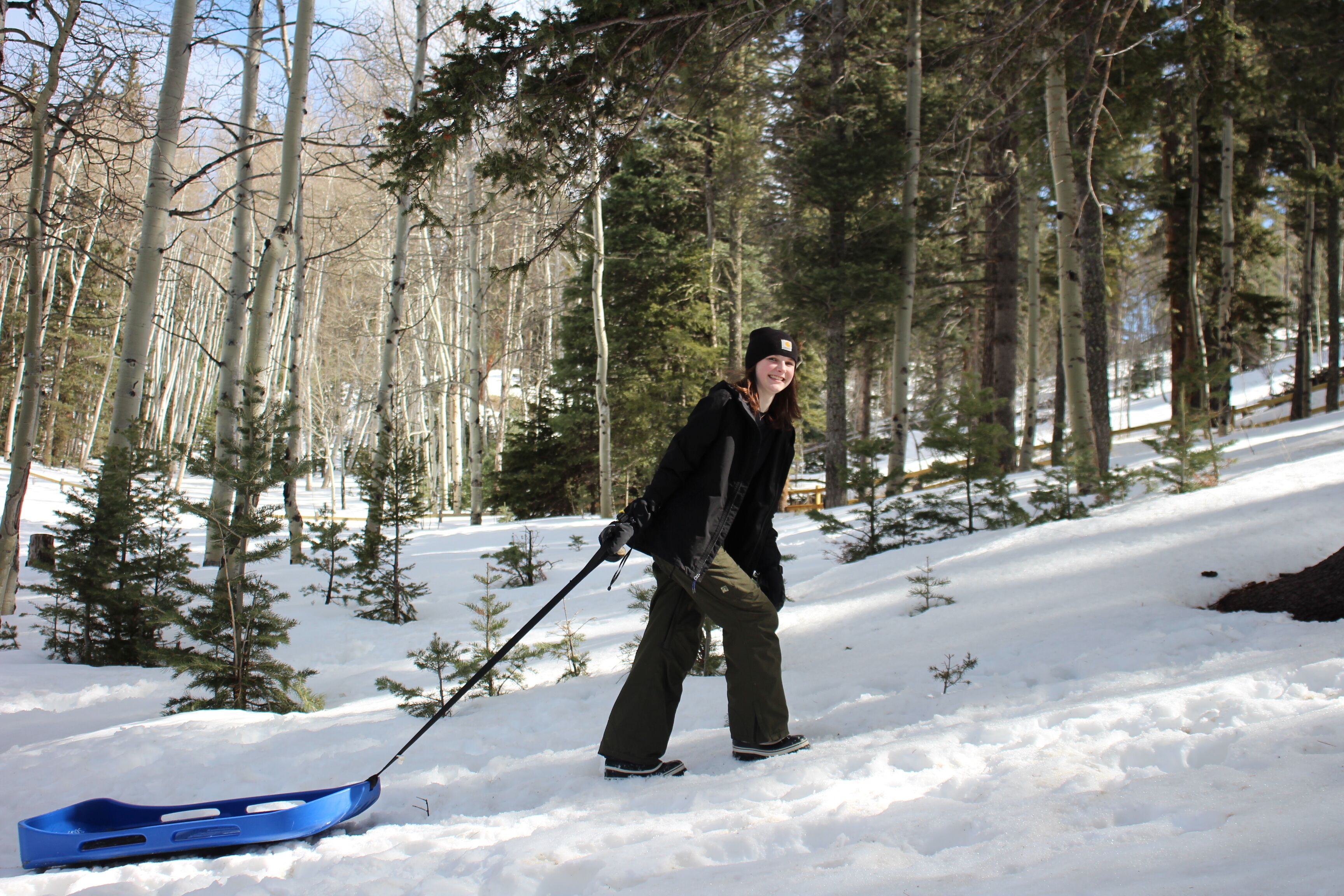 A person skiing in a snowy forest with trees and a blue sled.