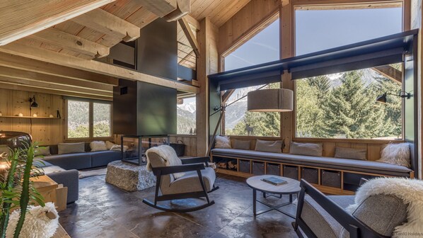 TV connectée, cheminée, lecteur de DVD