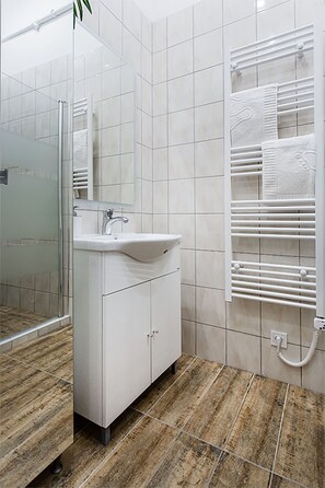 Shower, hair dryer, towels, soap