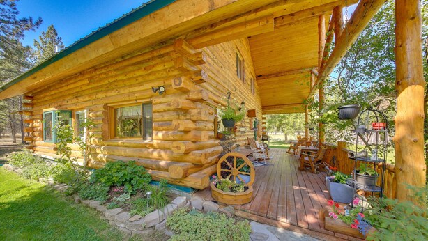 A log cabin with a porch, stone steps, and potted plants.