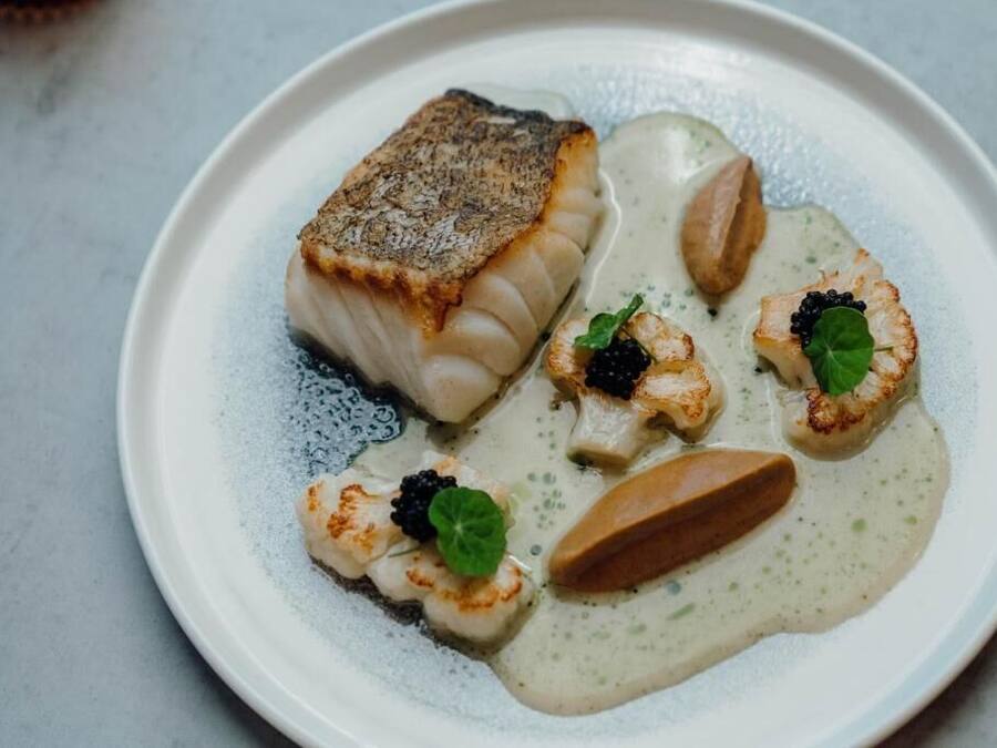 Un plato de comida con un trozo de pescado, vieiras y salsa cremosa.