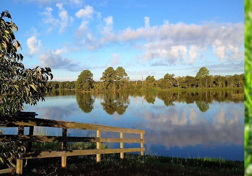 New-10 ml TAMU & Kyle Field; surrounded by nature & wildlife on a Private Lake.