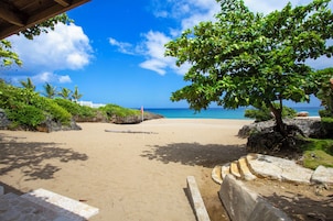 Playa privada y bar en la playa 