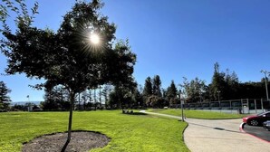 A well-maintained grassy area with a tree and a paved path. - Comfy 2BR Apt w/ AC/Washer/Dryer/EV - in Sunnyvale (Sunnyvale)