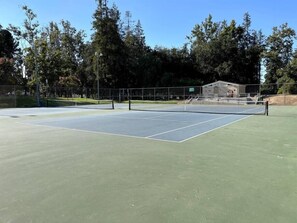 A tennis court with a net, surrounded by trees and a building in the background.