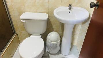 Dusche, Regendusche, Handtücher, Seife