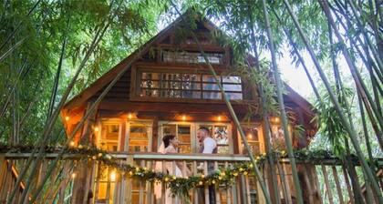 Alpaca Treehouse in the Bamboo Forest