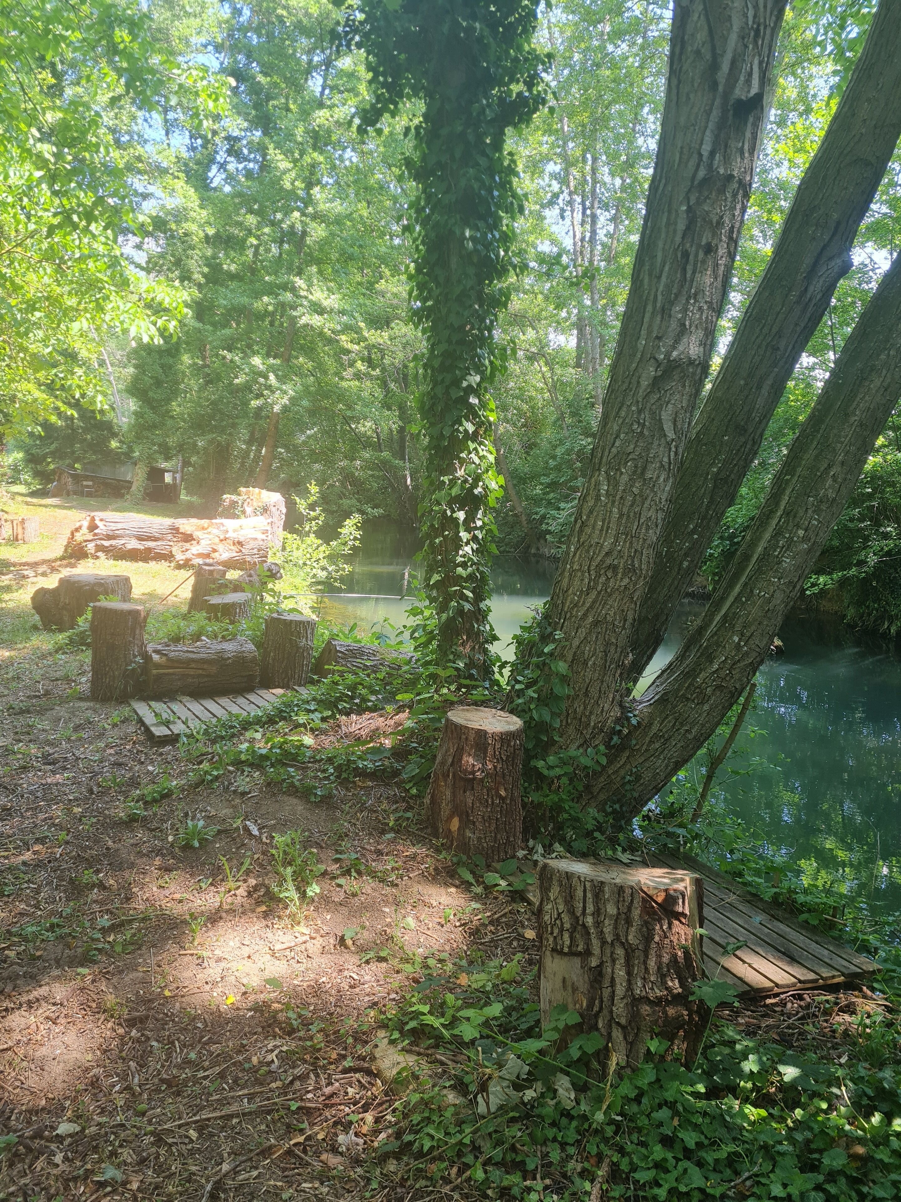 Property grounds