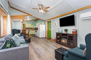 Smart TV, chimenea, reproductor de DVD y libros