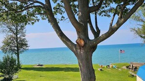 A tree with a bird nest, a grassy area, a body of water, and a flag. - Tree-Top Lake-Front Cottage (Madison)