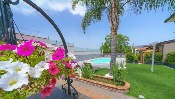 Un jardín con piscina, palmera y macizos de flores.