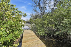 A wooden boardwalk leading through dense vegetation towards a building.