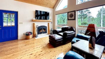 智能电视、壁炉