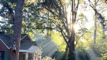 A house surrounded by trees with sunlight filtering through.