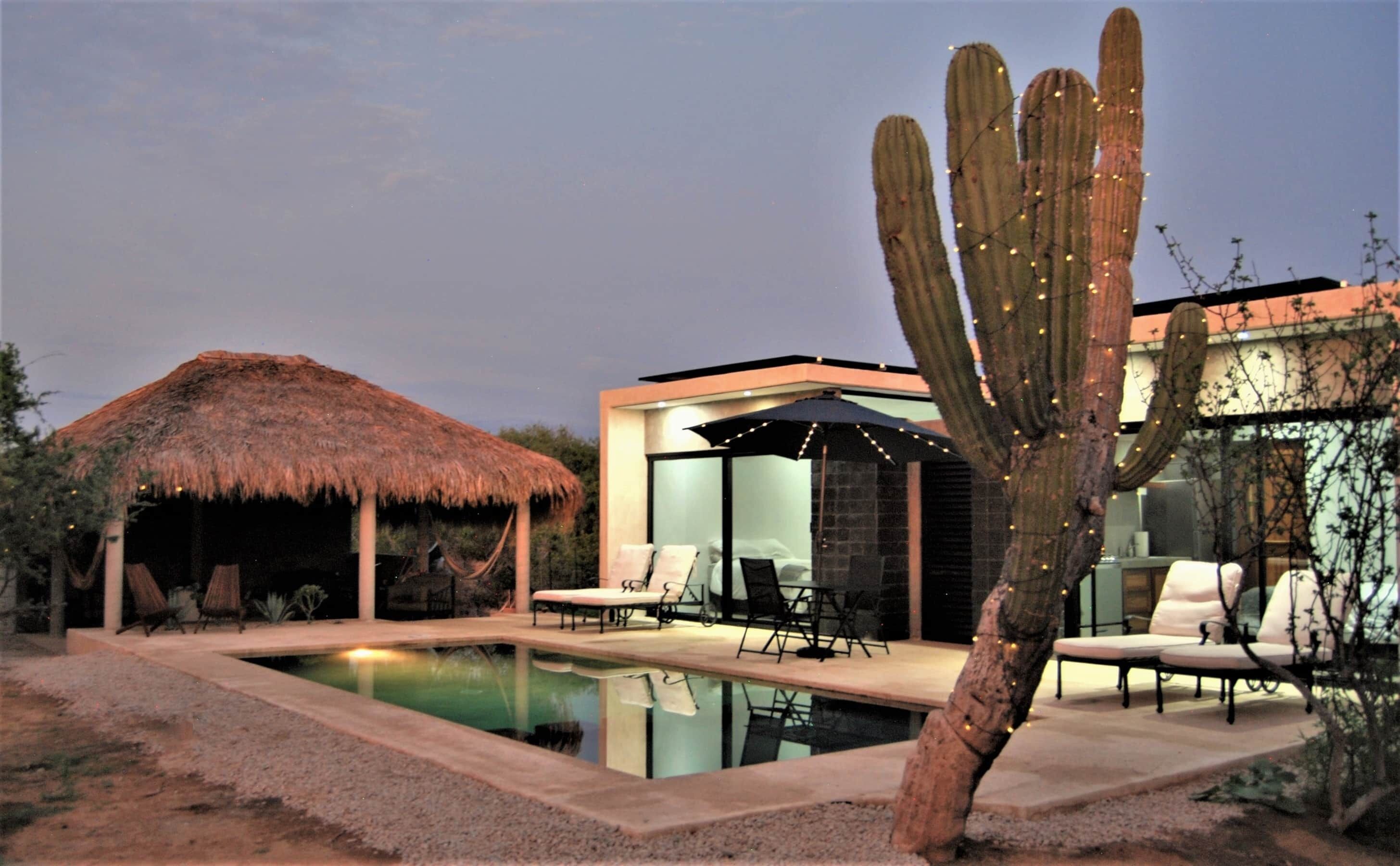 Un espace piscine extérieur moderne doté d’une structure à toit de chaume, de chaises longues et d’un cactus.