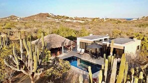 Ein modernes Haus mit Pool, umgeben von Kakteen.