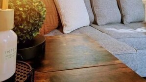 A cozy cabin interior with a wooden ceiling, a large window, a wooden bench with cushions, and a potted plant. -  Sparrow Hawk Nest- Luxury Mountain View Tiny Home!  (Pickens)