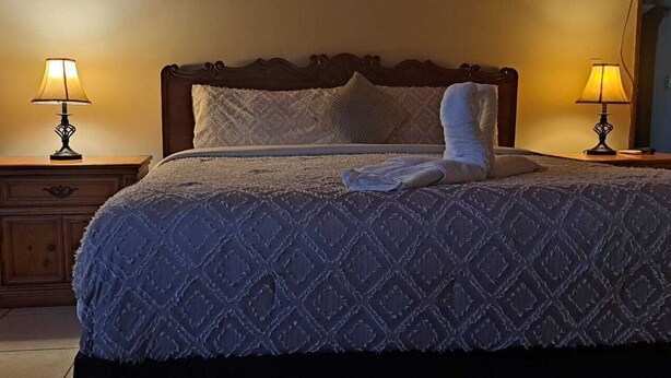A neatly made bed with a patterned bedspread, two bedside lamps, and a wooden nightstand with a drawer. - Kartagus Futura (San Salvador)
