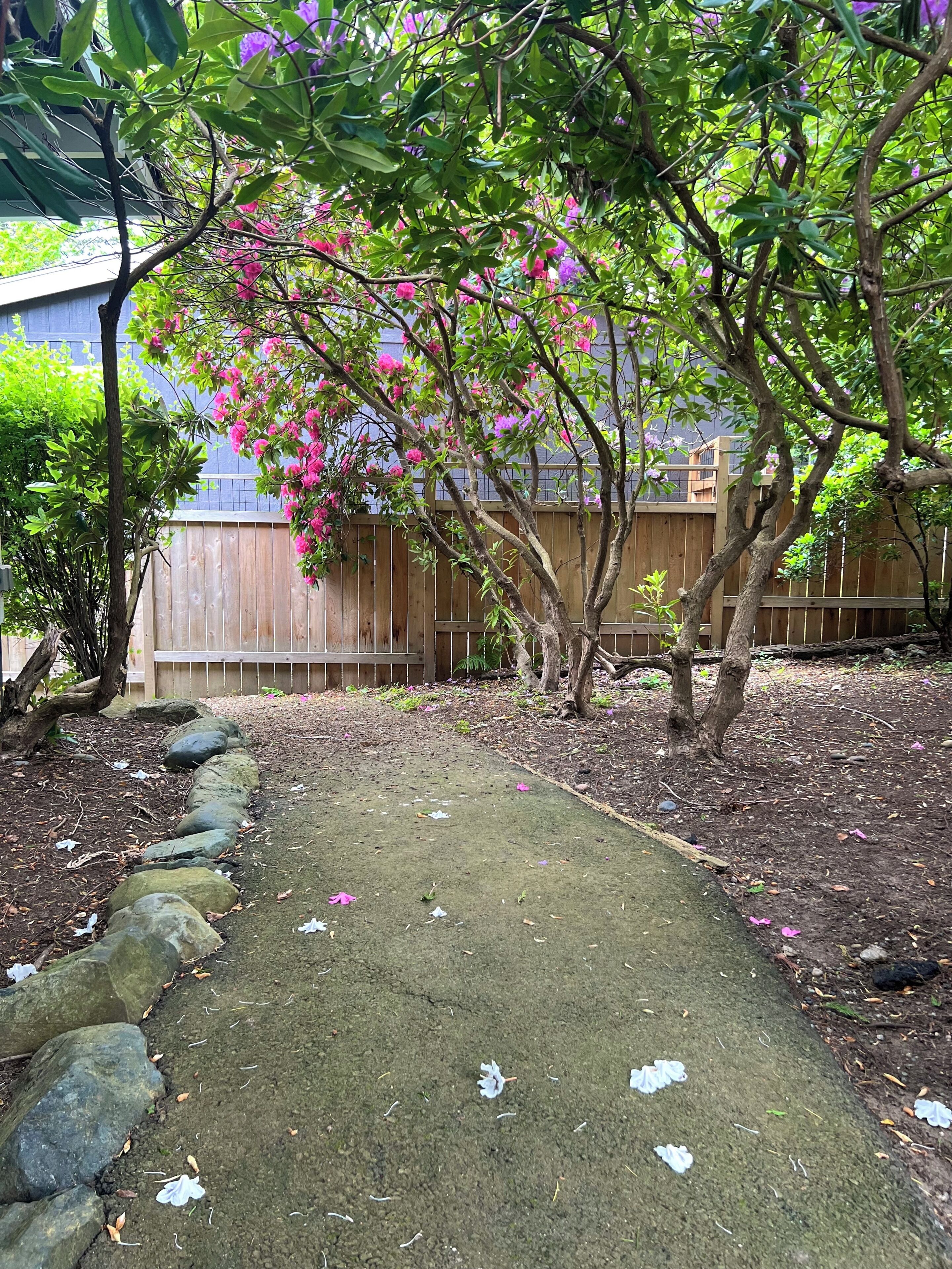 Un jardín con un sendero empedrado, una cerca de madera y árboles en flor.