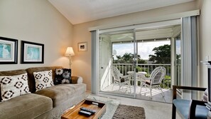 Televisio, DVD-soitin