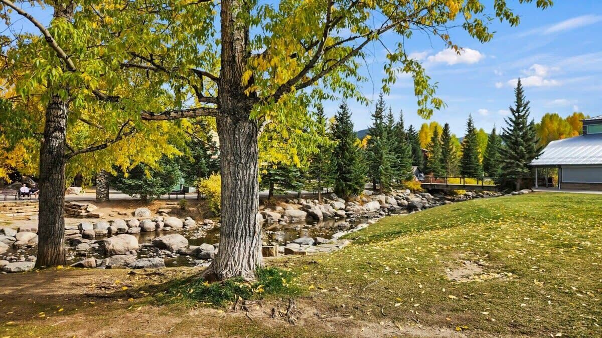A park with trees, a stream, and a building with a metal roof.