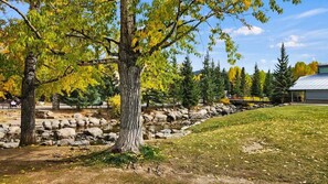 Property grounds - Cozy Studio w/Shared Pool -3 Min to Ski Lift (Breckenridge)