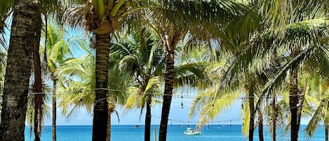 Mud baths, Thai massages, massages on the beach, massages