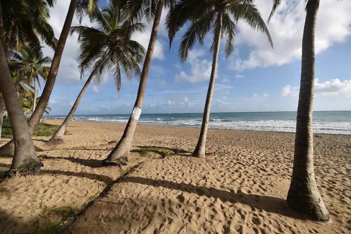 Ein sandiger Strand mit Palmen und dem Meer im Hintergrund.