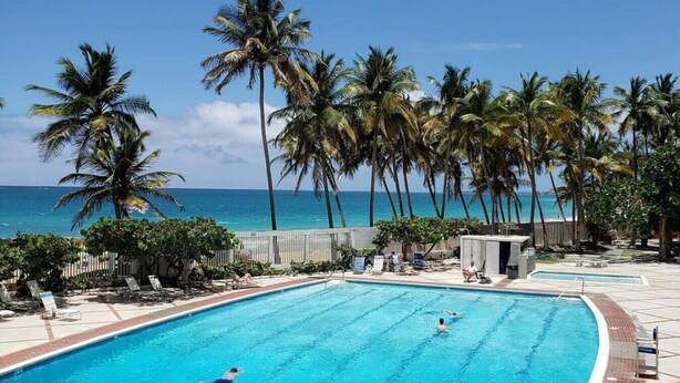 En swimmingpool med kristallklart blått vatten, omgiven av palmer och med utsikt över havet.