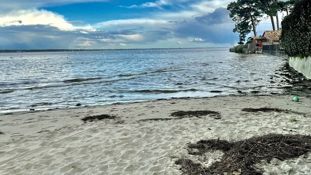 Uma praia com areia, algas marinhas e vista para o mar.
