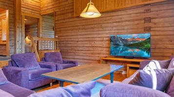 Televisio, DVD-soitin